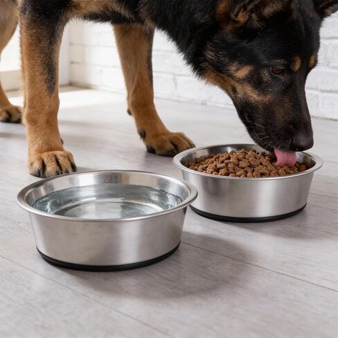 4-Pack Heavy Duty Stainless Steel Dog Bowls with Non-Slip Base – 8 Cup (64 oz) Rust-Resistant Metal Food & Water Dishes for Medium & Large Dogs in Kuwait