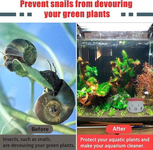 Aquarium Safe Snail Catcher - Reusable Snail Containment Tool for Fish Tanks in Kuwait