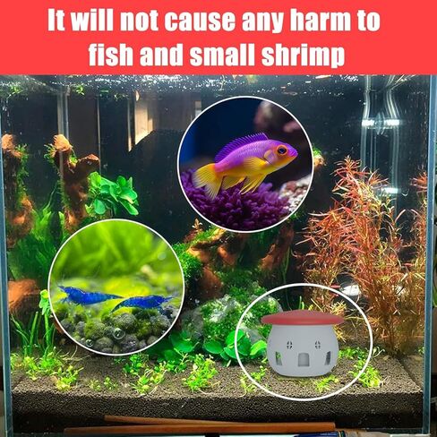 Aquarium Safe Snail Catcher - Reusable Snail Containment Tool for Fish Tanks in Kuwait