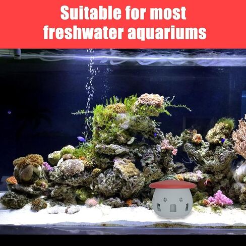Aquarium Safe Snail Catcher - Reusable Snail Containment Tool for Fish Tanks in Kuwait
