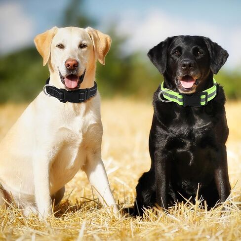 6 Pack Reflective Dog Collars for Large Dogs Adjustable Dog Collars with Safety Buckle for Girl Boy Dogs(13.7-21 inch) in Kuwait