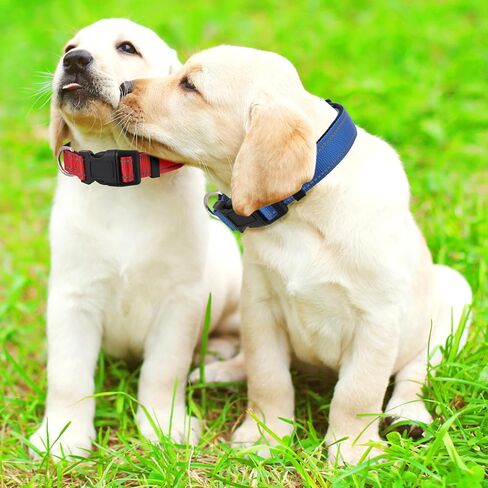 6 Pack Reflective Dog Collars for Large Dogs Adjustable Dog Collars with Safety Buckle for Girl Boy Dogs(13.7-21 inch) in Kuwait