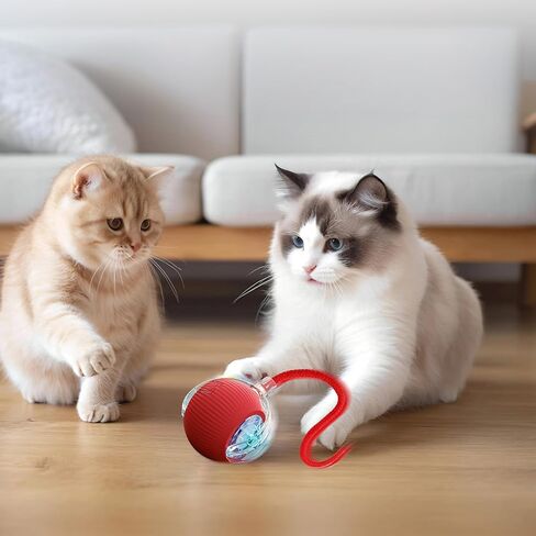 2Pcs Interactive Cat Dog Toys, Electric Automatic Moving for Bored Indoor Adult Cats, Smart Rolling Ball with 3 Modes(Fast Rolling,Chirping & Motion-Activated) for Pet, Fun Gift for Cats in Kuwait