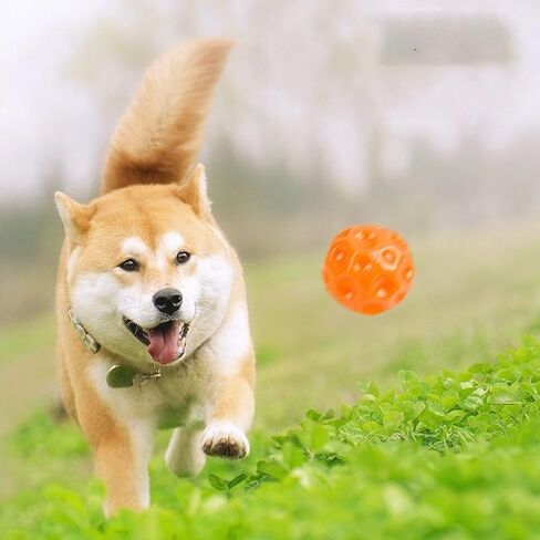 Heavy Duty Squeaky Chew Ball Interactive Dog Toy for Aggressive Chewers, Teething Relief & Sound Fun in Kuwait