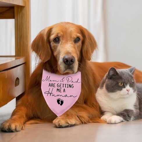 Dog Bandana Pregnancy Announcement Mom & Dad are Getting Me a Human Dog Baby Announcement Bandana Pregnancy Announcement Gender Reveal Dogs Scarf for Small Medium Cats Dogs (Pink) in Kuwait