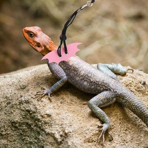 PRETYZOOM قابل للتعديل الوردي الزواحف تسخير المقود للزواحف الصغيرة الملتحية التنين المشي حبل الحيوانات الأليفة الجر المقود للاستخدام في الهواء الطلق in Kuwait