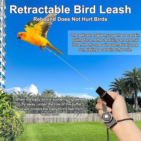 Bird Leash, Automatic Retraction, Anti Bite Adjustable Bird Flying Rope with 3 Sizes of Soft Foot Rings for Outdoor Flight Training in Kuwait