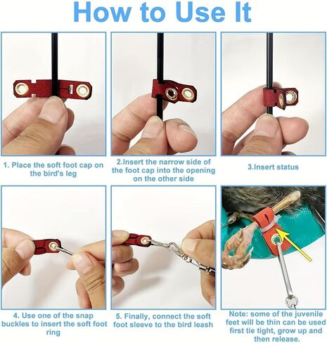 Bird Leash, Automatic Retraction, Anti Bite Adjustable Bird Flying Rope with 3 Sizes of Soft Foot Rings for Outdoor Flight Training in Kuwait