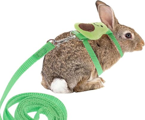 VILLCASE Adjustable Small Pet Vest Leash Set in Green, Size S, Soft Breathable Rabbit Walking Rope for Hamsters, Guinea Pigs, and Small Animals in Kuwait