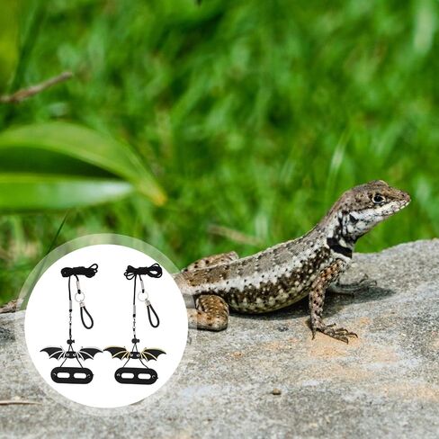 Beavorty Lizard Leash and Adjustable Harness Set with Wing Design for Small Reptiles Bearded Dragon Squirrels Outdoor Walking in Kuwait