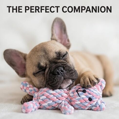 Indestructible Colorful Braided Rope Bear Dog Toy, Ultra Durable Upgraded Teething Chew Toy for Aggressive Chewers, Tough Unbreakable Cotton Rope Bear, Interactive Tug Toy for Puppy Small Medium Dogs in Kuwait