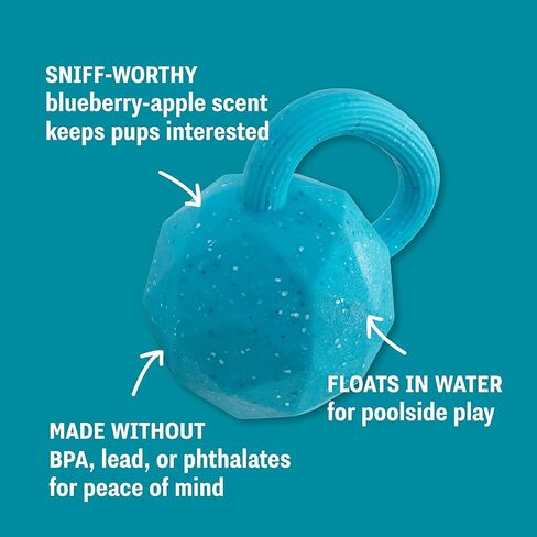 Flex-Force Herding Ball Dog Toy, Tug Handle & Unpredictable Bounce, Floats in Water, Blueberry-Apple Scent for Sensory Play, Tough Chewers, Large Breeds (60-100+ lbs), 6.6" in Kuwait