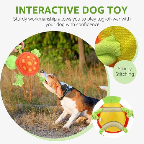 SCENEREAL Dog Toy for Medium Large Dogs- Floating Dog Toys Squeaky Toys for Water Pool Fetch, Halloween Interactive Pet Chew Toy Outdoor Interactive Play, Green Turtle in Kuwait
