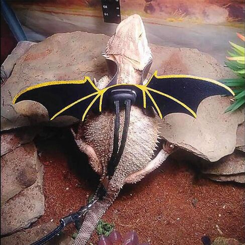 حبل سحب Alomejor Lizard قابل للتعديل من الجلد الصناعي الأسود، تصميم جناح أنيق للمشي في الهواء الطلق مناسب لمختلف الزواحف والسحالي، 3 وسائد متضمنة، مقاسات SM/L in Kuwait