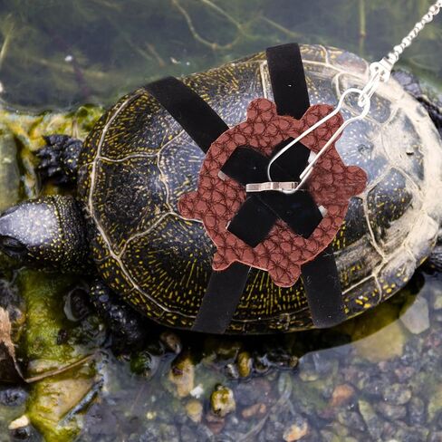 Yardwe Tortoise Leash Small Silent Pet Turtle Hauling Rope Outdoor Walking Control Harness for Reptile Training in Saudi Arabia