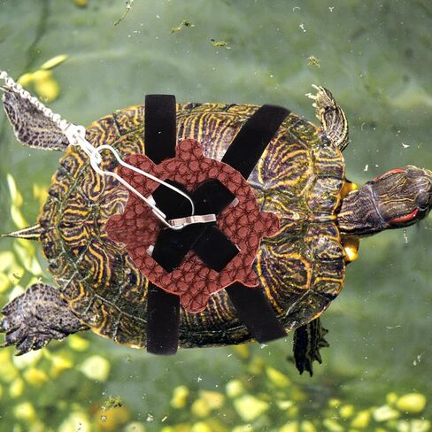 Yardwe Tortoise Leash Small Silent Pet Turtle Hauling Rope Outdoor Walking Control Harness for Reptile Training in Saudi Arabia