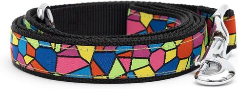 THE WORTHY DOG Stylish Nylon Dog Leash, Swivel Snap Hook, 5 Ft, Tiki Time Pattern, Blue, Large in Saudi Arabia