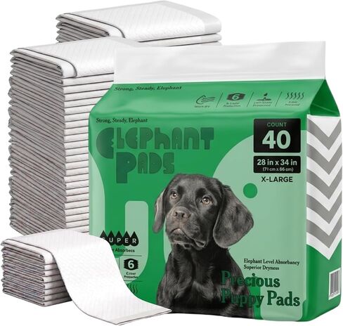 2X Super Absorbent & 2X Fast Absorption Puppy Pads for Dogs, 22"x22" 80 Count, Leak Proof Dog Pads, Unscented White in Kuwait