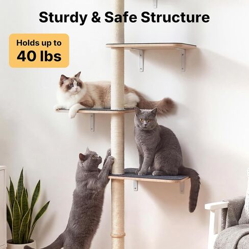Veehoo Wall Mounted Cat Tree for Large Cats, 66" Tall Cat Wall Climber with Large Perches and Non-Slip Carpet, Cats Wall Shelves Furniture for Climb, Scratch, Lookout and Play in Kuwait