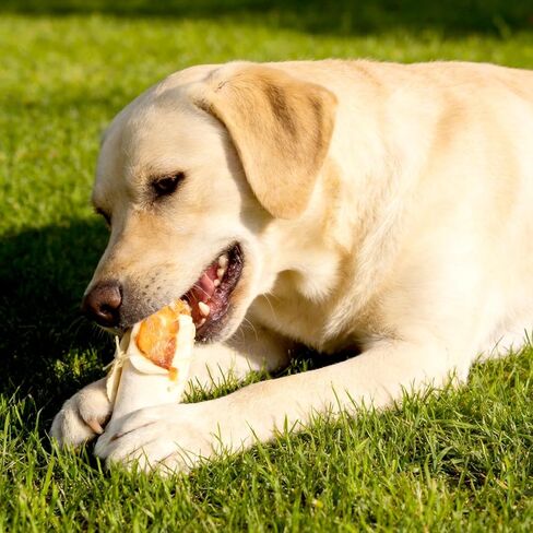 أحذية Dog Treats Rawhide Chicken Mini مقاس 5 بوصة، وجبات خفيفة، كعوب لطحن الأسنان للكلاب المتوسطة والكبيرة، 3.67 أونصة (4 لكل عبوة) in Kuwait