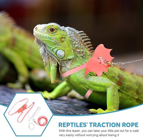 Luxshiny Bearded Dragon Harness and Leash, Pink Medium Lizard Train Harness with Adjustable Outdoor Traction Rope for Small to Medium Reptile Pets in Kuwait