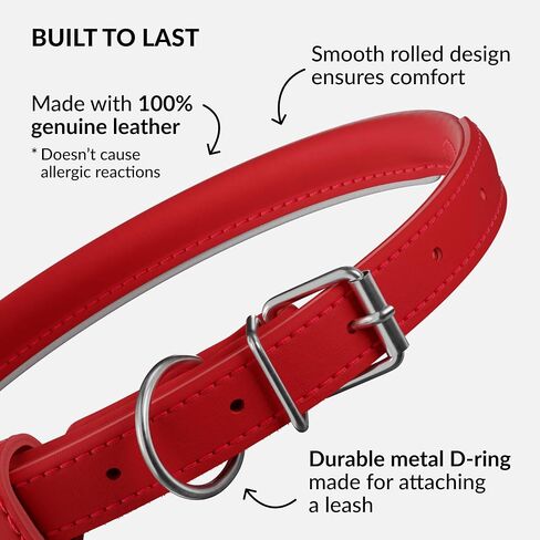 CollarDirect Reflective Rolled Leather Dog Collar, Soft Padded Round Puppy Collar, Handmade Genuine Leather Collar Dog Small Large Cat Collars 13 Colors (8-11 Inch, Red Reflective) in Kuwait
