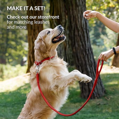CollarDirect Reflective Rolled Leather Dog Collar, Soft Padded Round Puppy Collar, Handmade Genuine Leather Collar Dog Small Large Cat Collars 13 Colors (8-11 Inch, Red Reflective) in Kuwait