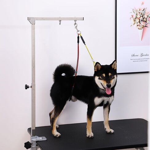 Pet Grooming Loop for Dogs - Fits Most No Sit Haunch Holder Pet Grooming Tubs and Tables Sturdy Steel Wire Rope(3 Packs) (Rubber Ring(Black) + No Sit Haunch Holder) in Kuwait