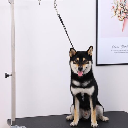 Pet Grooming Loop for Dogs - Fits Most No Sit Haunch Holder Pet Grooming Tubs and Tables Sturdy Steel Wire Rope(3 Packs) (Rubber Ring(Black) + No Sit Haunch Holder) in Kuwait