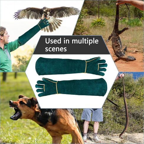 Animal Handling Gloves Bite Proof with 40inch Collapsible Snake Hook,Suitable for Falcon Dog Cat Bird Reptile Snake in Saudi Arabia