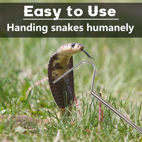 Animal Handling Gloves Bite Proof with 40inch Collapsible Snake Hook,Suitable for Falcon Dog Cat Bird Reptile Snake in Saudi Arabia