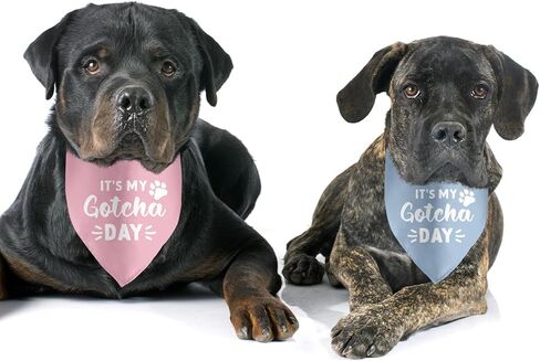 2 Pack It's My Gotcha Day Dog Bandana Adoption Day for Dogs Pet Bandanas Accessories for Dog Lovers Pet Scarf in Kuwait