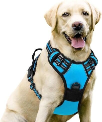 No Pull Adjustable Dog Harness with Reflective Straps, Comfortable Soft Padded Vest for Medium and Large Dogs, Blue (M,Blue) in Kuwait
