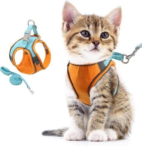 ORIA Cat Harness and Leash, Escape Proof Cat Vest Harness, Soft Adjustable Dog Chest Harnesses with Reflective Strips for Small Cats, Dogs, Rabbits, Orange & Blue, 4.4 to 6.6lb in Kuwait