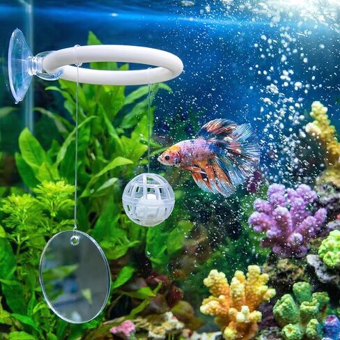 إكسسوارات حوض السمك بيتا، ألعاب إثراء بيتا، حلقتان لتدريب الأسماك مع أكواب شفط، كرتان نتريتين ومرآة عائمة مع كرة لخزان حوض السمك in Kuwait