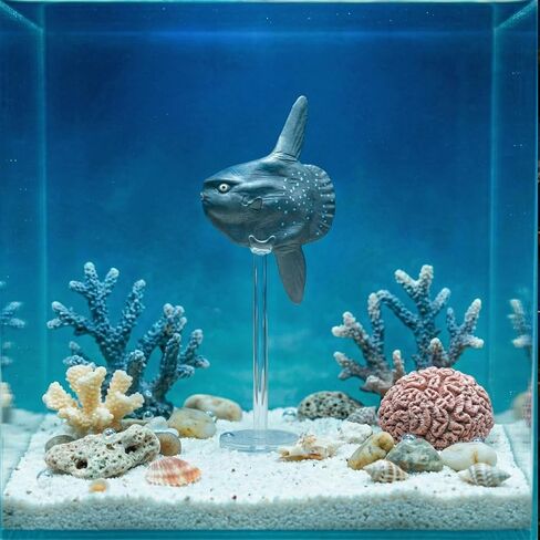 Mola Mola Fish Figure Realistic Ocean Sunfish Model, Detailed Marine Animal Figurine, Solid Plastic Deep Sea Decor for Aquarium, Home Display and Collection in Kuwait