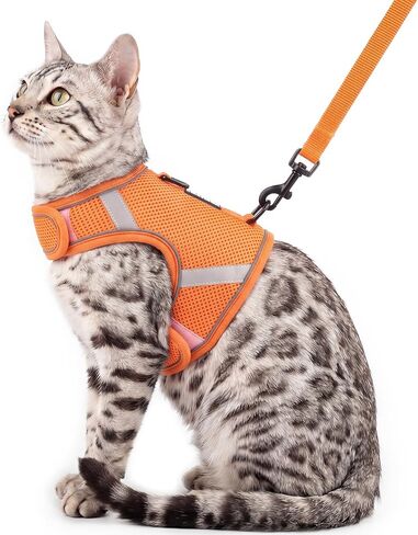 Cat Harness and Leash Set Escape Proof Kitten Harness No-Head-Pull Cat Vest Cat Leash for Walking Travel, Orange, Large in Kuwait