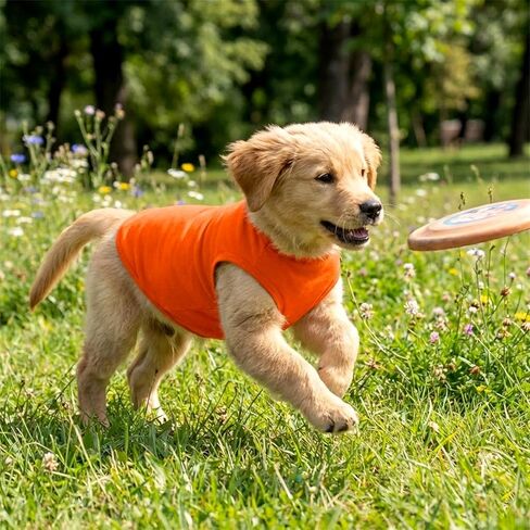 4 Pcs Dog Shirts Pullover, Solid Color Chihuahua Clothes, Summer Dog Shirt Vest Girl Boy Soft Blank Puppy T-Shirt Small Dogs Lightweight Puppy T-Shirts Blank Soft and Cool (Black,Grey,Red,Orange) in Kuwait