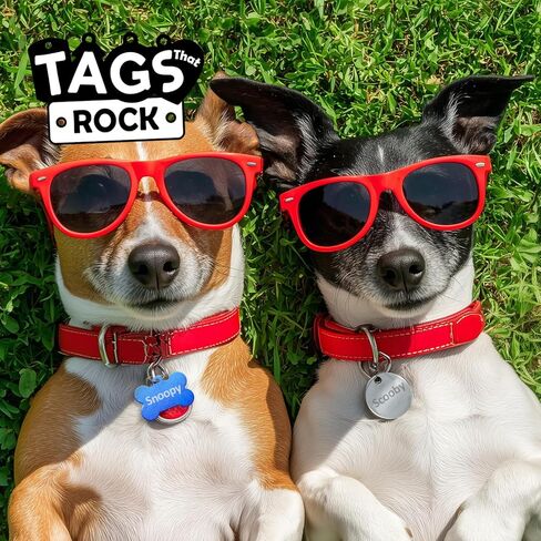 Custom Engraved Pet ID Tags – Personalized Aluminum Dog & Cat Tags – 8 Fun Shapes, 9 Bright Colors, Double-Sided, Lightweight & Rustproof – Includes Attachment Ring in Kuwait