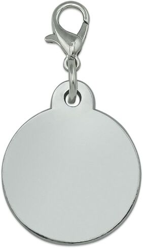 Batman Robin Logo Chrome Plated Metal Pet Dog Cat ID Tag in Kuwait