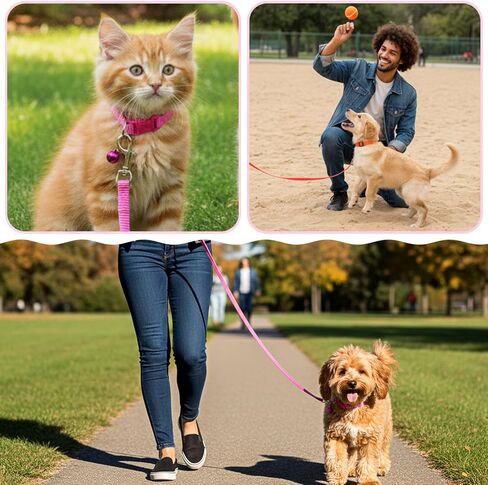 48 Pcs Dog Collar and Leash Set with Hook and Buckle, Quick Release Buckle Adjustable Puppy Collars & Polypropylene Puppy Leash Bulk, Newborn Puppys Collars, for Litter Puppies Small Pets, 12 Colors in Kuwait