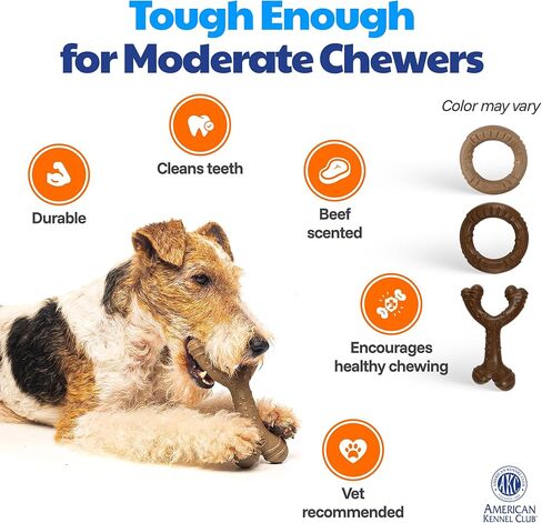 American Kennel Club عبوة من قطعتين لتدريب الكلاب على المضغ، ألعاب للكلاب على شكل عظم الترقوة وحلقة من مادة البولي بروبيلين المملوءة بالخشب، ألعاب متينة للكلاب للمضغ المعتدل، معطرة بلحم البقر للمشاركة طويلة الأمد، تدعم صحة الأسنان in Kuwait