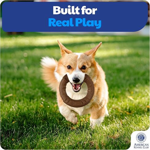 American Kennel Club عبوة من قطعتين لتدريب الكلاب على المضغ، ألعاب للكلاب على شكل عظم الترقوة وحلقة من مادة البولي بروبيلين المملوءة بالخشب، ألعاب متينة للكلاب للمضغ المعتدل، معطرة بلحم البقر للمشاركة طويلة الأمد، تدعم صحة الأسنان in Kuwait