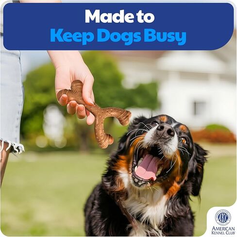 American Kennel Club عبوة من قطعتين لتدريب الكلاب على المضغ، ألعاب للكلاب على شكل عظم الترقوة وحلقة من مادة البولي بروبيلين المملوءة بالخشب، ألعاب متينة للكلاب للمضغ المعتدل، معطرة بلحم البقر للمشاركة طويلة الأمد، تدعم صحة الأسنان in Kuwait