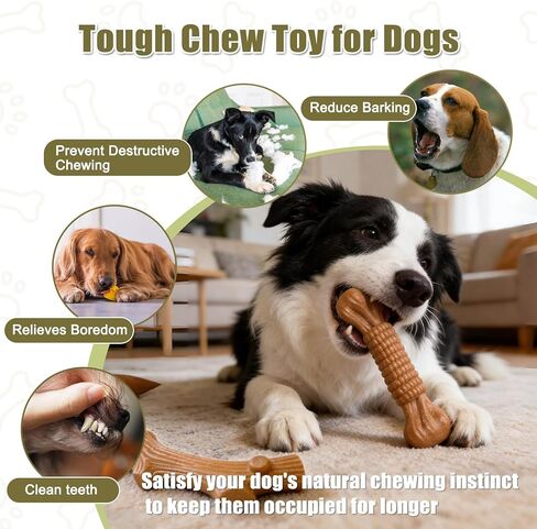 SCHITEC Dog Chew Toys for Aggressive Chewers, [2 Pack] Tough Bone and Stick Set with Chicken Flavor, Long Lasting Durable Teething Toy for Medium Large Dogs in Kuwait