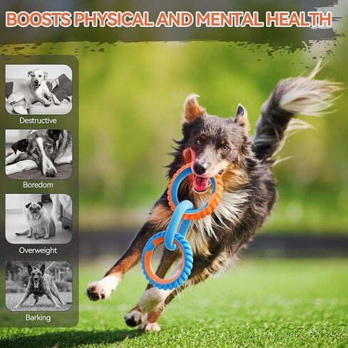 ALL FOR PAWS 3-Ring Dog Toy, Interactive Dog Toy for Fetch & Tug of War, Rubber Dog Toy for Small Medium Large Dogs, 11 Inch Ring Dog Tug Toy for Outdoor Training, Exercise & Boredom Relief in Kuwait