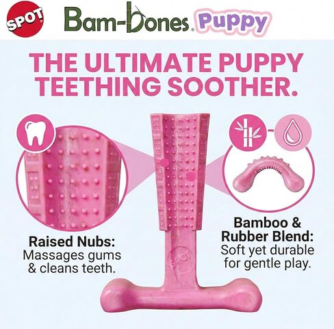 ألعاب مضغ الكلاب من SPOT Bam-Bones Puppy T-Bone، بنكهة الدجاج، 4 بوصات، عبوتان، ألياف الخيزران والمطاط المرن، تصميم سهل الإمساك للمضغ اللطيف والجراء والكلاب الصغيرة حتى 15 رطلاً in Kuwait
