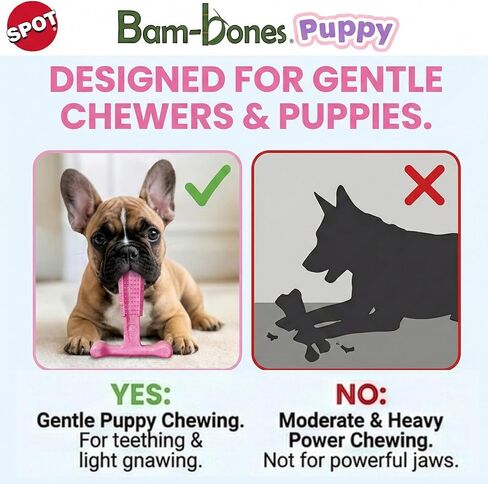ألعاب مضغ الكلاب من SPOT Bam-Bones Puppy T-Bone، بنكهة الدجاج، 4 بوصات، عبوتان، ألياف الخيزران والمطاط المرن، تصميم سهل الإمساك للمضغ اللطيف والجراء والكلاب الصغيرة حتى 15 رطلاً in Kuwait