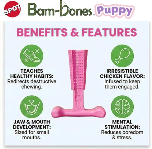 ألعاب مضغ الكلاب من SPOT Bam-Bones Puppy T-Bone، بنكهة الدجاج، 4 بوصات، عبوتان، ألياف الخيزران والمطاط المرن، تصميم سهل الإمساك للمضغ اللطيف والجراء والكلاب الصغيرة حتى 15 رطلاً in Kuwait