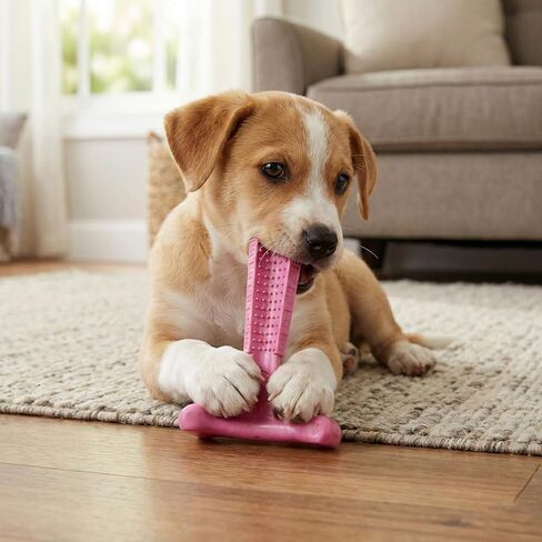 ألعاب مضغ الكلاب من SPOT Bam-Bones Puppy T-Bone، بنكهة الدجاج، 4 بوصات، عبوتان، ألياف الخيزران والمطاط المرن، تصميم سهل الإمساك للمضغ اللطيف والجراء والكلاب الصغيرة حتى 15 رطلاً in Kuwait